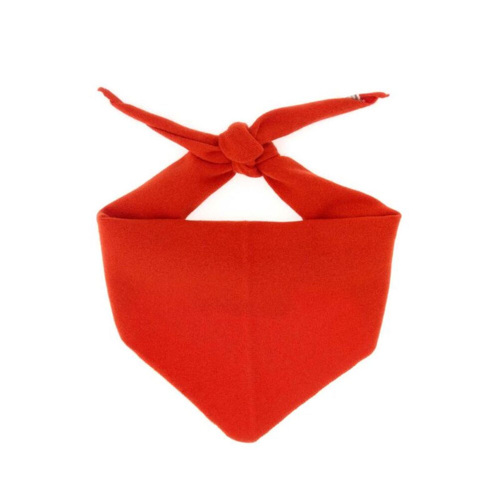 Extreme Cashmere Women Red Cashmere Blend Nâ°35 Foulard